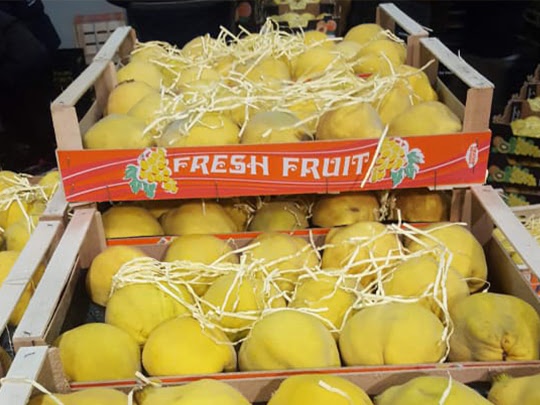 fructe 19