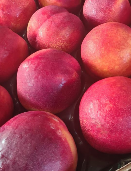 fructe 5